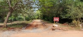 20230117_122543-auroville-stop-the-crown-rd.jpg