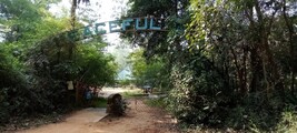 20230209_091214-auroville-peaceful-destroy.jpg