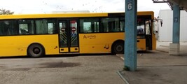 20231008_094625-arriva-bus-by-db.jpg