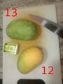 20220620_002955-sadri-mango-12-13-langri-bartli.jpg