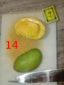 20220620_003302-sadri-mango-14-langri.jpg