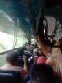 20220711_085251-sadri-turist-season-full-bus.jpg