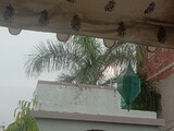 20220714_181626-udaipur-roof-palme-lampe.jpg